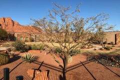 Copy-of-IMG_0092