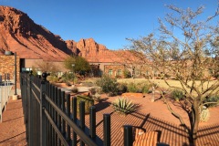 Copy-of-IMG_0093