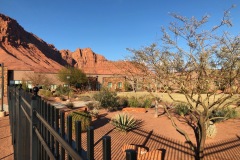 Copy-of-IMG_0094