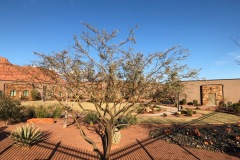 Copy-of-IMG_0095